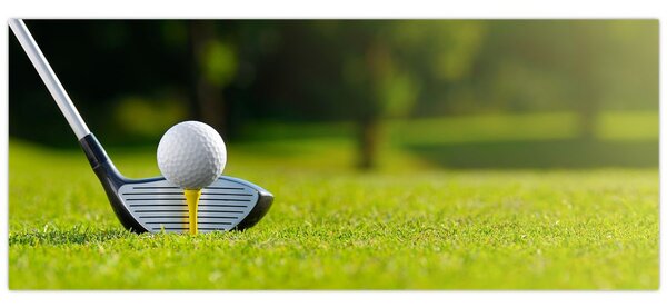 Obraz - Golf (120x50 cm)