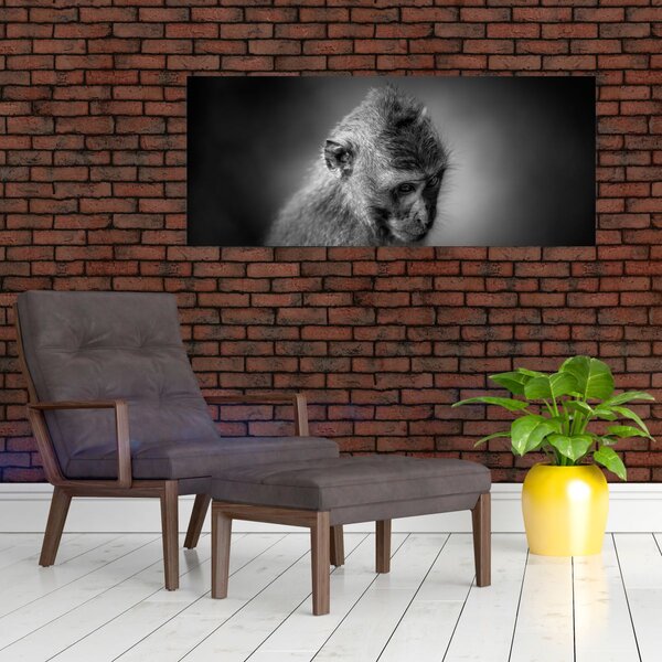 Obraz - Opička (120x50 cm)