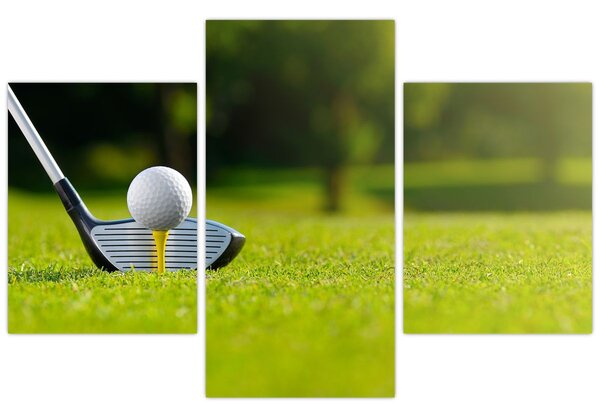 Obraz - Golf (90x60 cm)