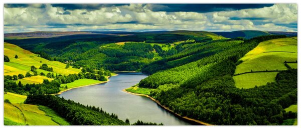Obraz - Zelená krajina (120x50 cm)