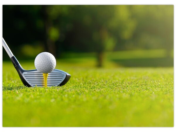 Obraz - Golf (70x50 cm)