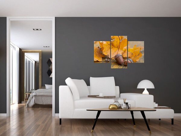 Obraz - Jesenné žalude (90x60 cm)