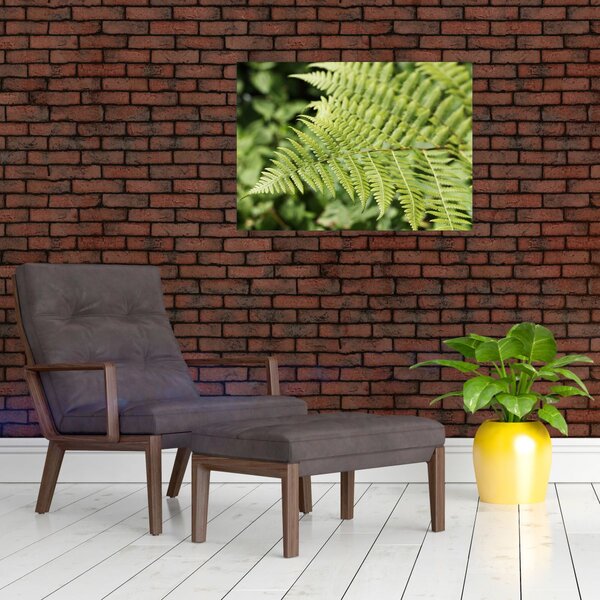 Obraz - Papradinový list (70x50 cm)