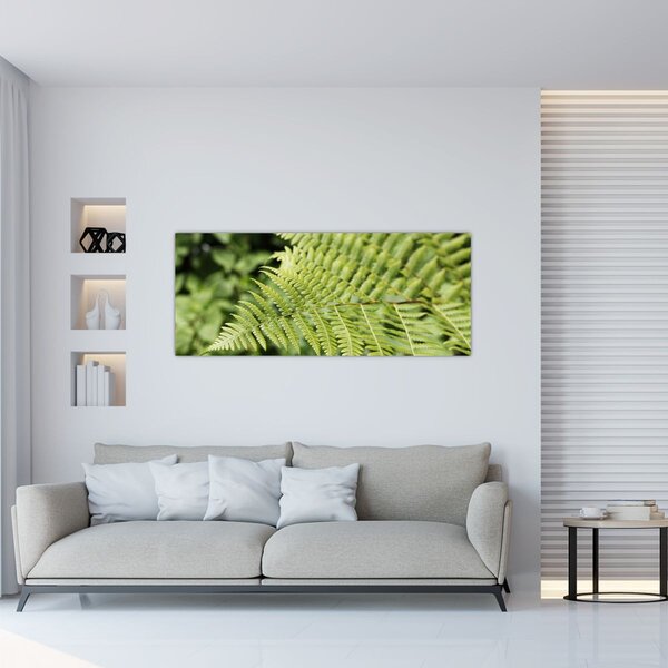 Obraz - Papradinový list (120x50 cm)