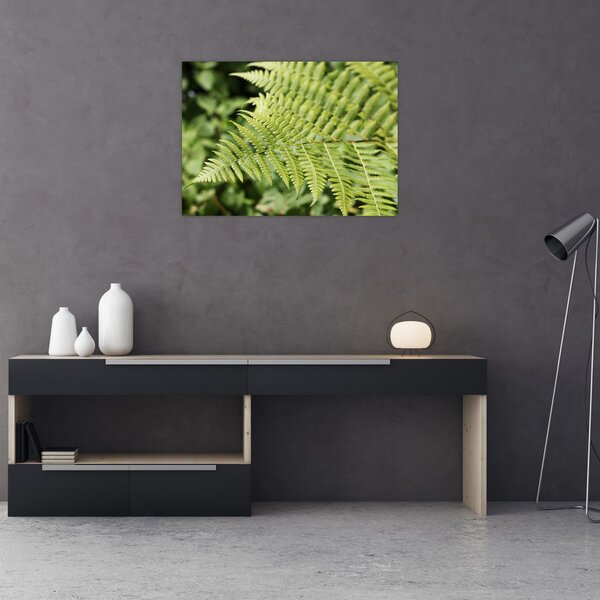 Obraz - Papradinový list (70x50 cm)