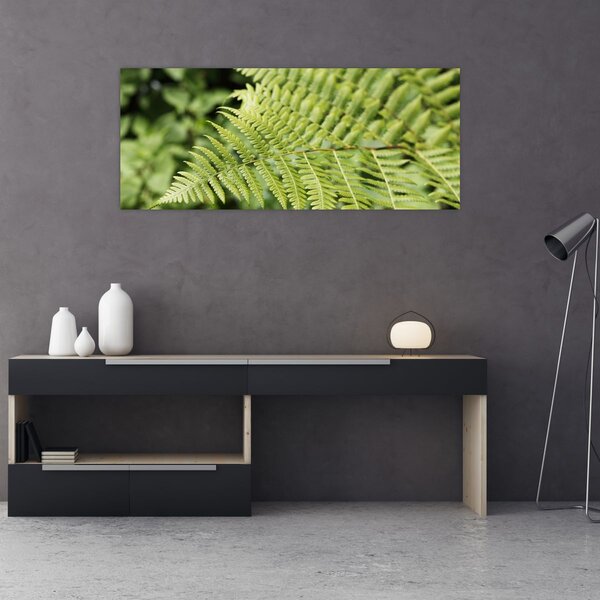 Obraz - Papradinový list (120x50 cm)