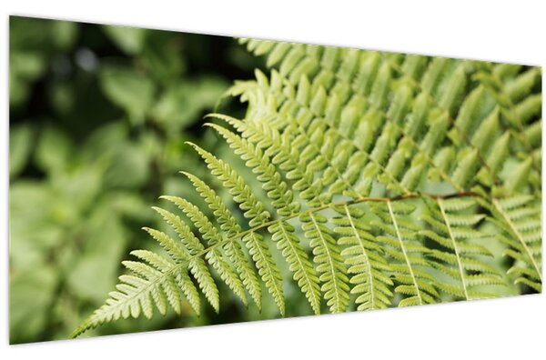 Obraz - Papradinový list (120x50 cm)