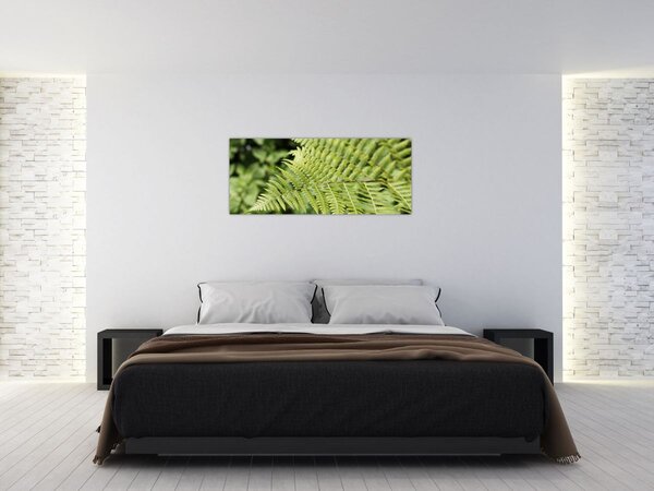 Obraz - Papradinový list (120x50 cm)