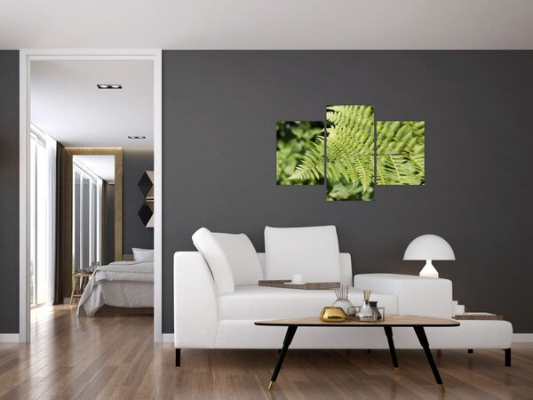 Obraz - Papradinový list (90x60 cm)