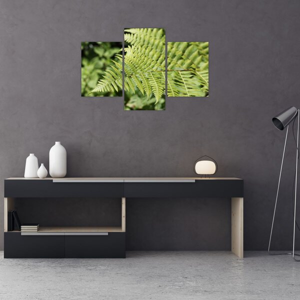 Obraz - Papradinový list (90x60 cm)