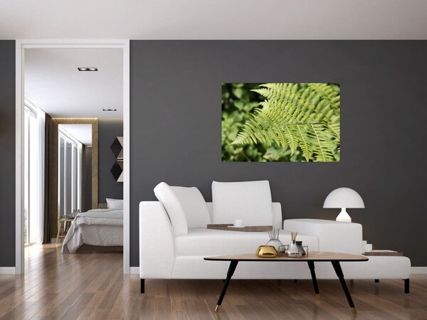 Obraz - Papradinový list (90x60 cm)