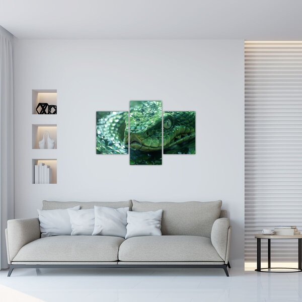 Obraz - Portrét hada (90x60 cm)