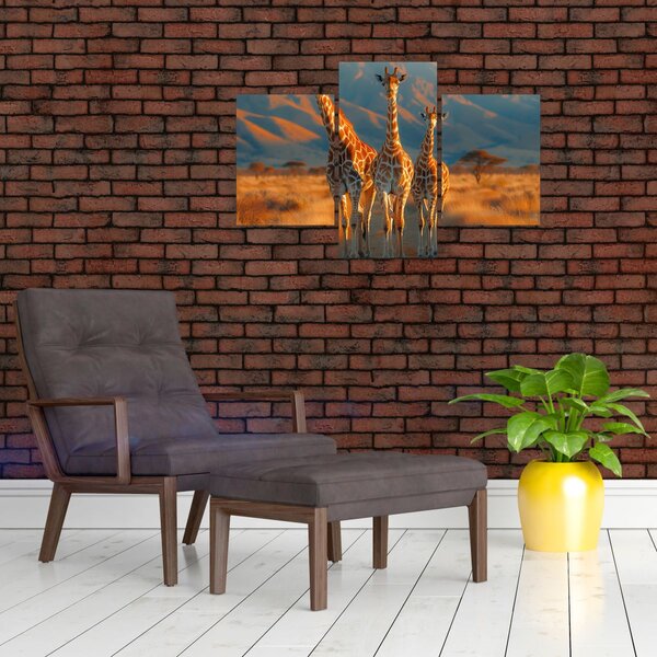 Obraz - Žirafy na pastvine (90x60 cm)
