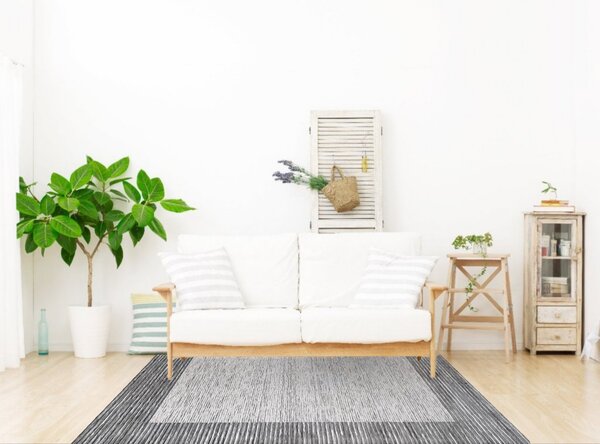 Berfin Dywany , Kusový koberec Vals 8001 Grey, 200x290, šedá, kancelária
