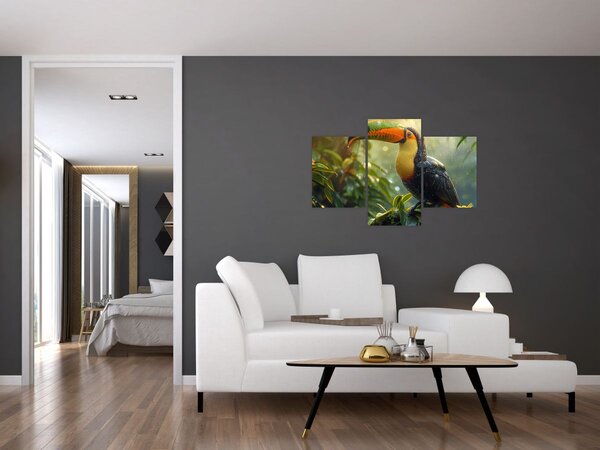Obraz - Tukan (90x60 cm)