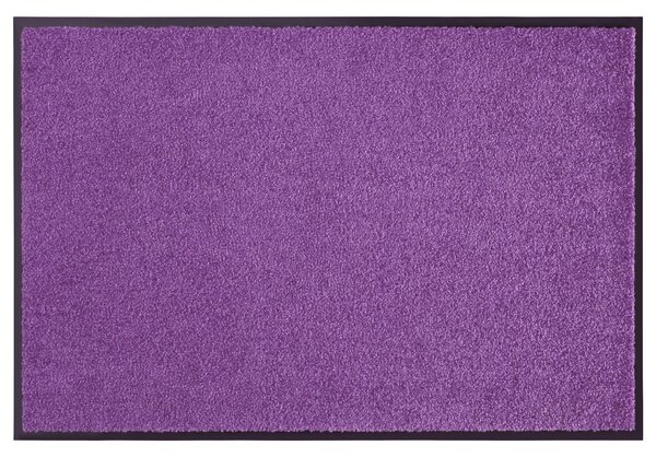 Hanse Home Collection koberce Rohožka Wash & Clean 103838 Violett - 90x150 cm