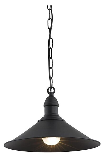 Argon 631 - luster na reťazi ERBA 1xE27/60W/230V