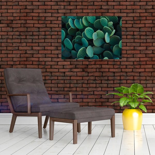 Obraz - Opuncie (70x50 cm)