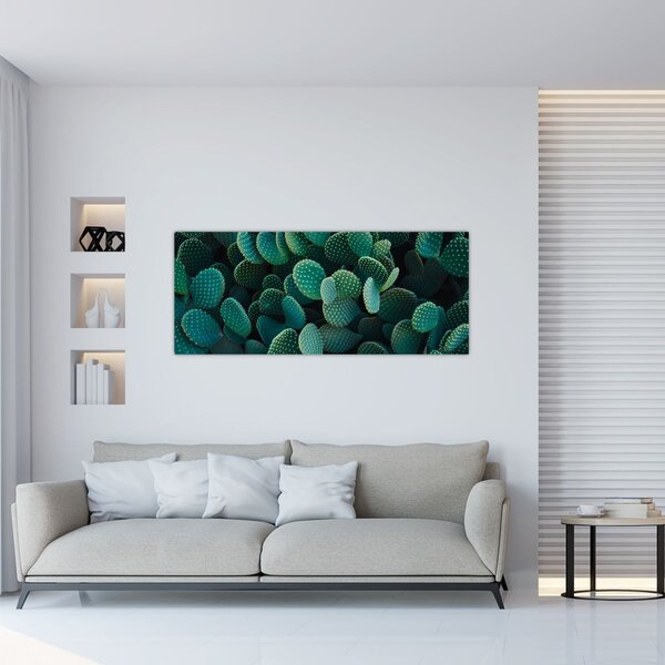 Obraz - Opuncie (120x50 cm)
