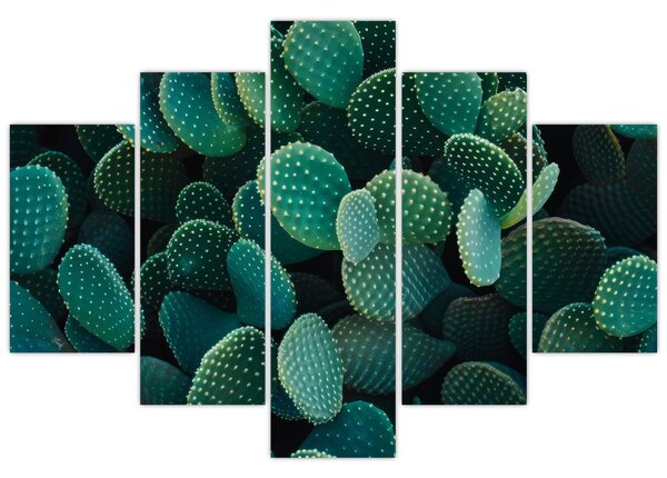 Obraz - Opuncie (150x105 cm)