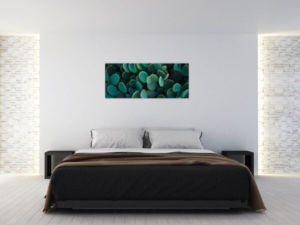 Obraz - Opuncie (120x50 cm)