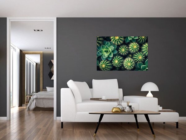 Obraz - Kaktusy (90x60 cm)