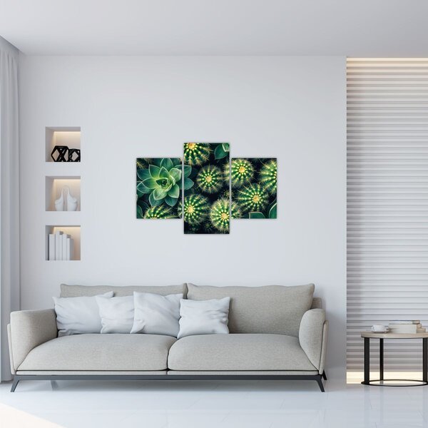 Obraz - Kaktusy (90x60 cm)