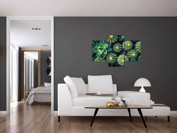 Obraz - Kaktusy (90x60 cm)