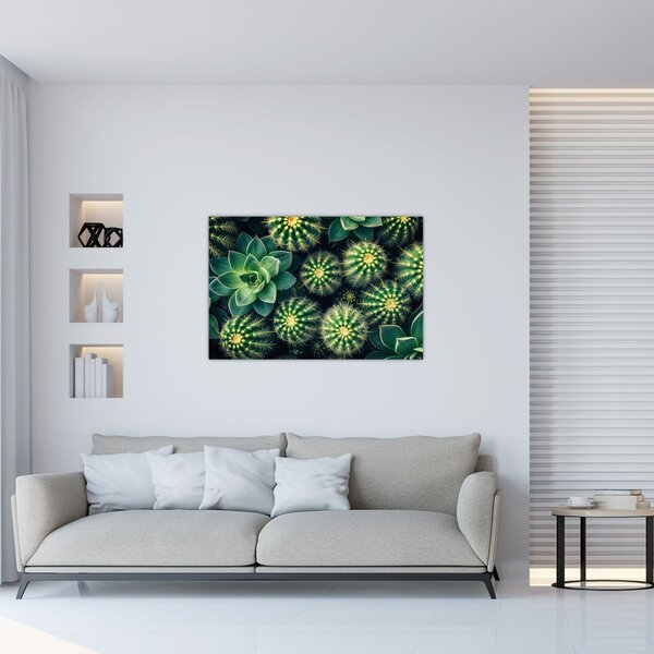 Obraz - Kaktusy (90x60 cm)
