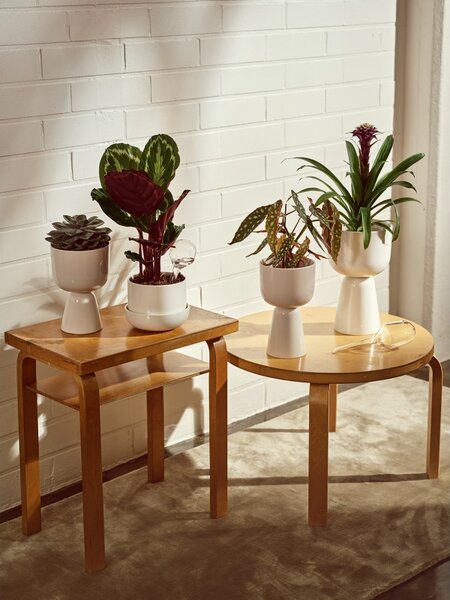 Iittala Kvetináč Nappula S, s podmiskou / biely