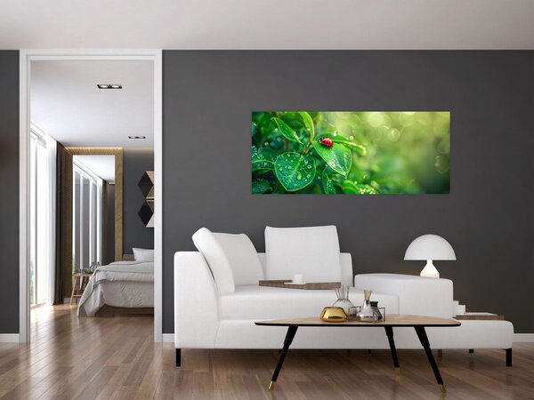 Obraz - Lienka (120x50 cm)