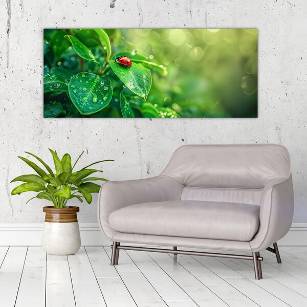 Obraz - Lienka (120x50 cm)