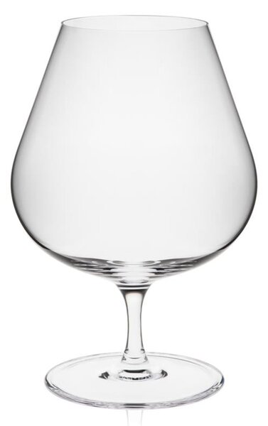 RONA UNIVERSAL POHÁR NA BRANDY 530ML SADA 6KS