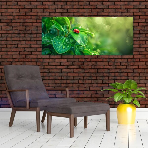 Obraz - Lienka (120x50 cm)