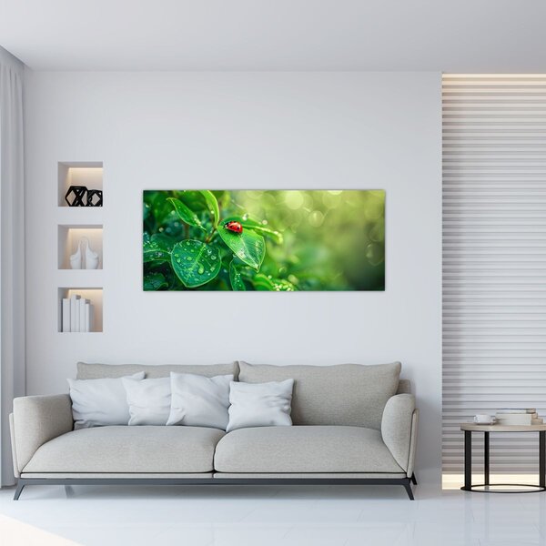 Obraz - Lienka (120x50 cm)
