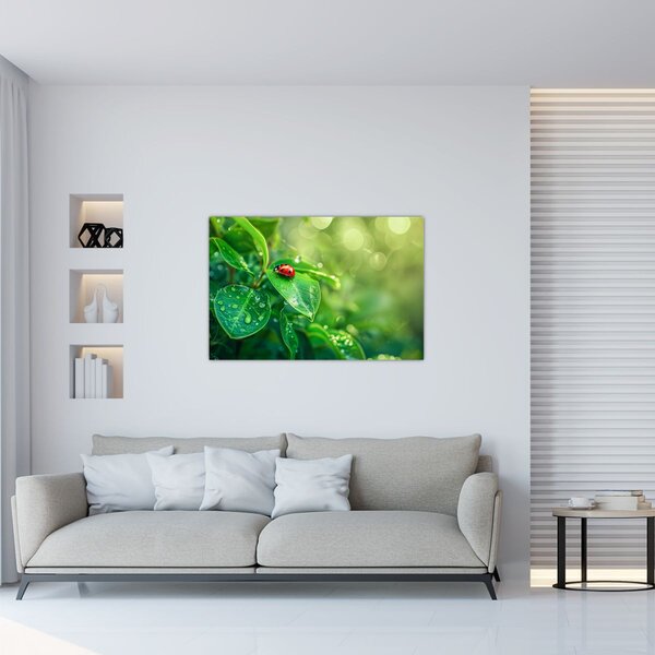Obraz - Lienka (90x60 cm)