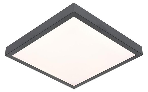 LED Stropné svietidlo VITALI LED/24W/230V