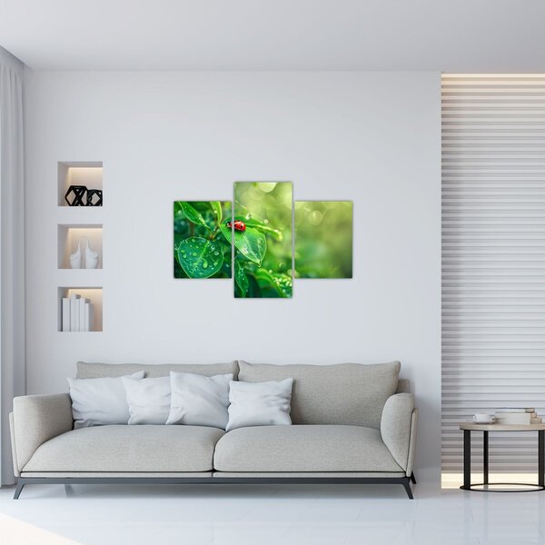 Obraz - Lienka (90x60 cm)
