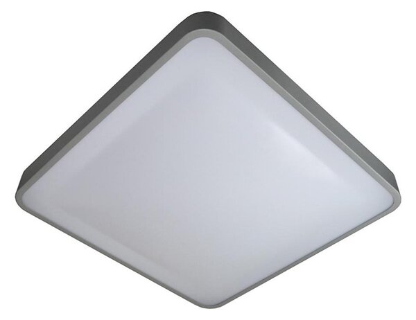 LED Stropné svietidlo WILTON LED/24W/230V šedá