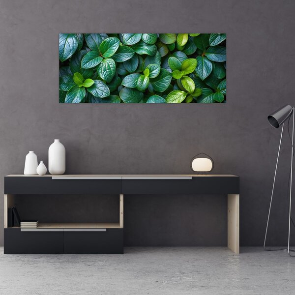 Obraz - Zelené rastliny (120x50 cm)