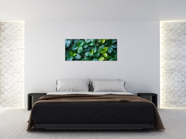 Obraz - Zelené rastliny (120x50 cm)