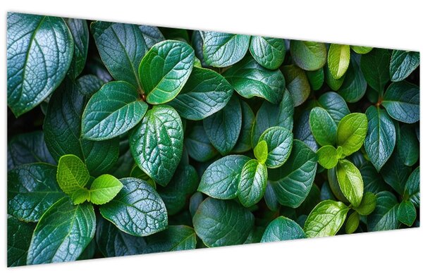 Obraz - Zelené rastliny (120x50 cm)