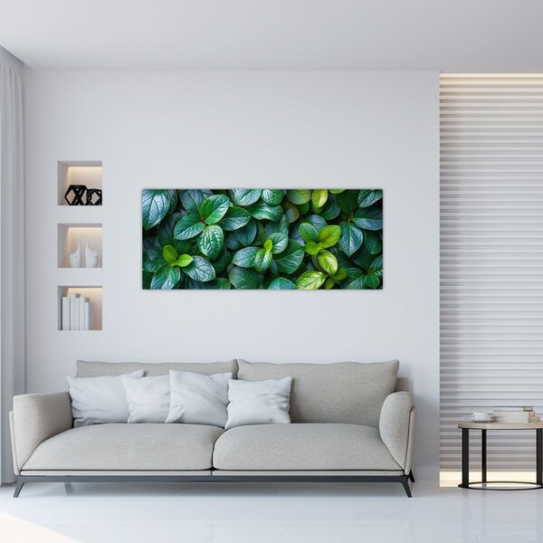 Obraz - Zelené rastliny (120x50 cm)