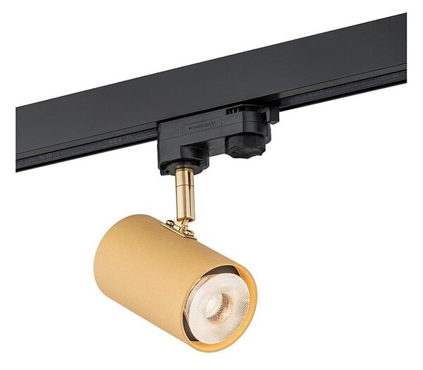 Argon 4323 - LED Bodové svietidlo do lištového systému HAGA LED/9W/230V zlatá