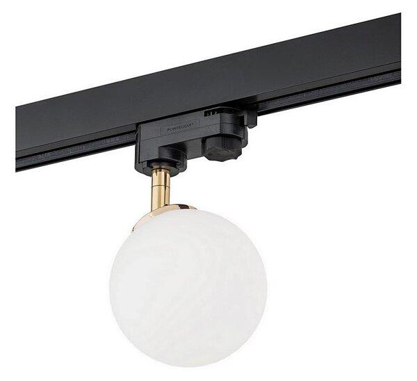 Argon 4307 - Bodové svietidlo do lištového systému BANG 1xG9/6W/230V mosadz