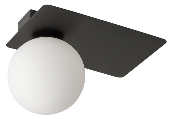 Stropné svietidlo ARGON 1xG9/12W/230V čierna