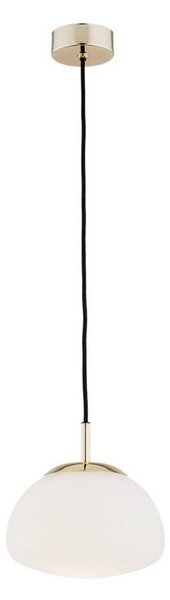 Argon 4352 - Luster na lanku TRINI 1xE27/15W/230V pr. 20 cm zlatá