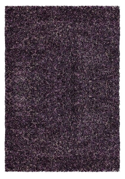Ayyildiz koberce Kusový koberec Enjoy 4500 lila - 160x230 cm