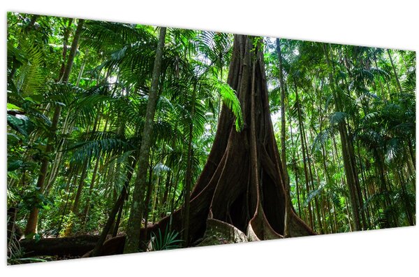 Obraz - Korene stromu (120x50 cm)