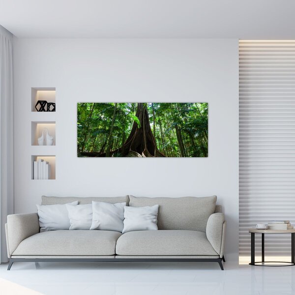Obraz - Korene stromu (120x50 cm)
